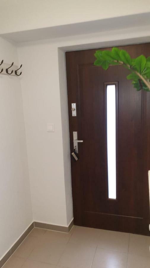 Ferienwohnung Schwegenheim Kültér fotó